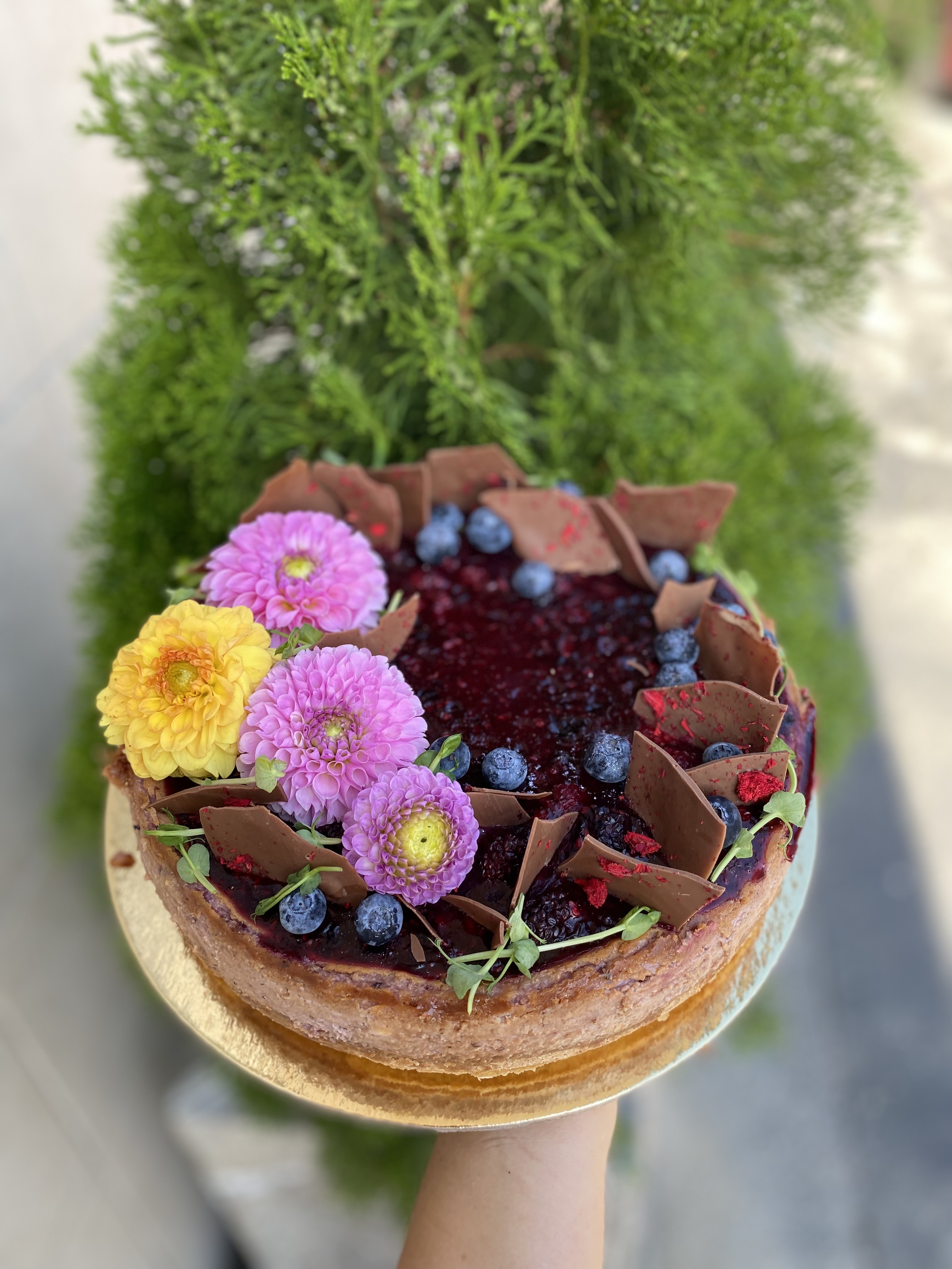 Čokocheesecake s lesným ovocím